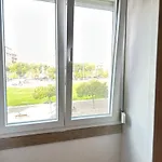 Rose View *