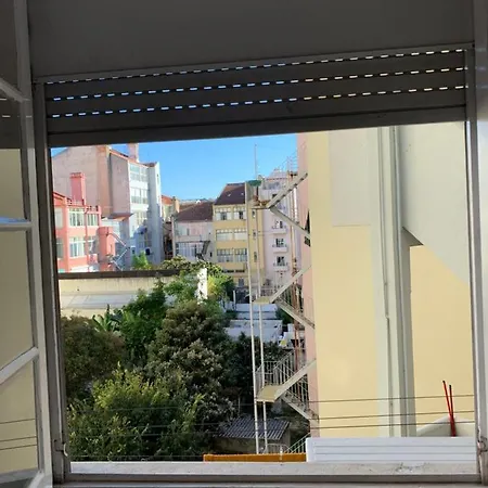 Rose View