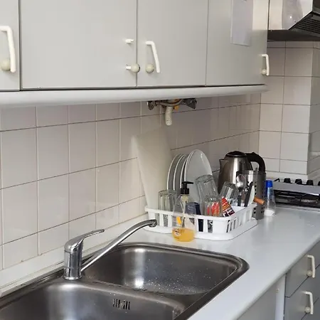 Rose View * 리스본