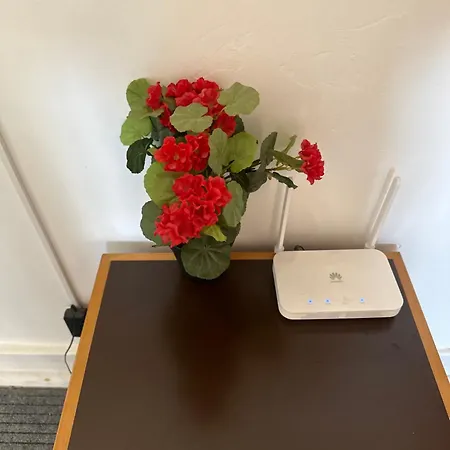 Πανσιόν Rose View